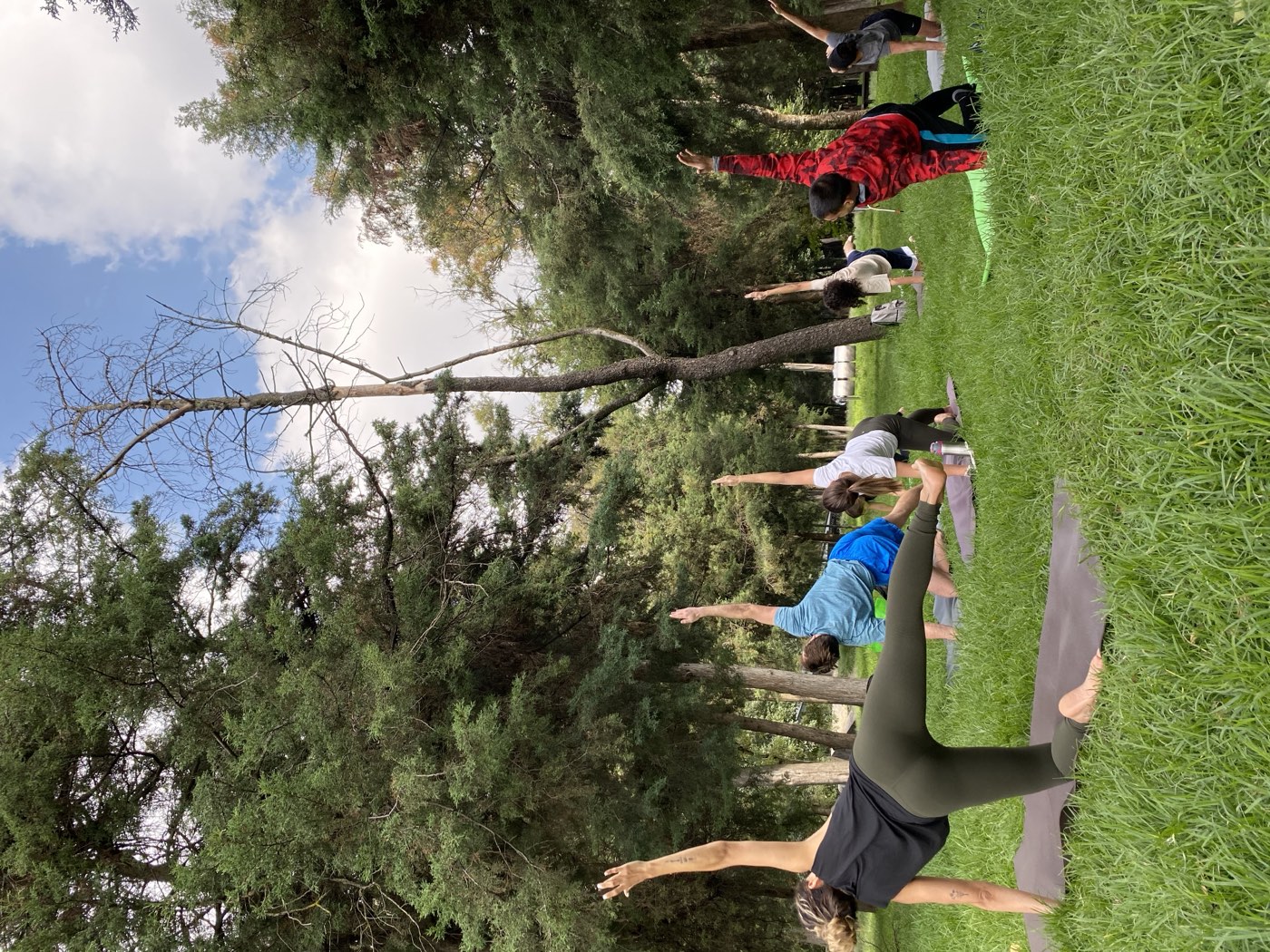 Clase de yoga al aire libre en el pasto